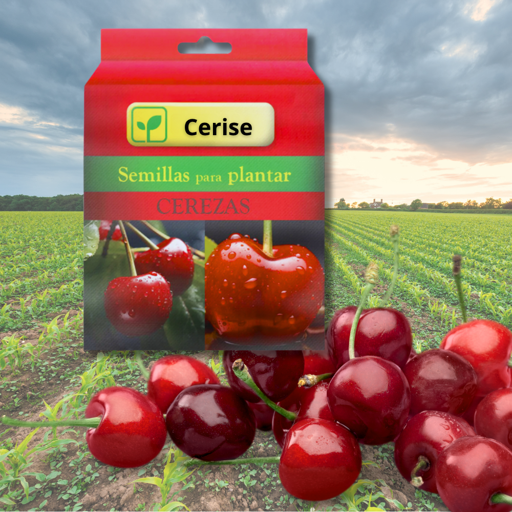 Cerise™ | Sementes de Cerejeira