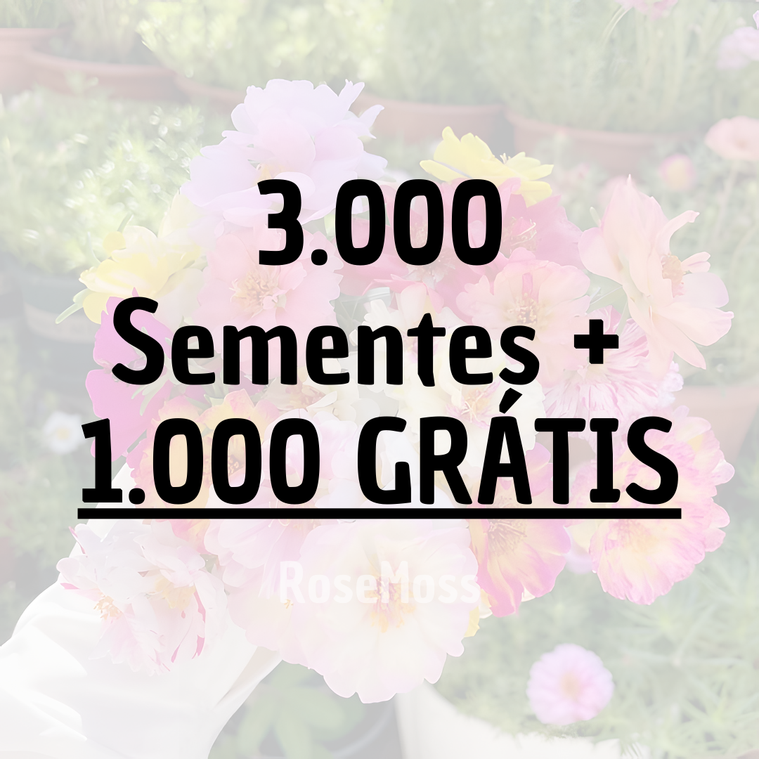 RoseMoss: Sementes de Rosa Imortal