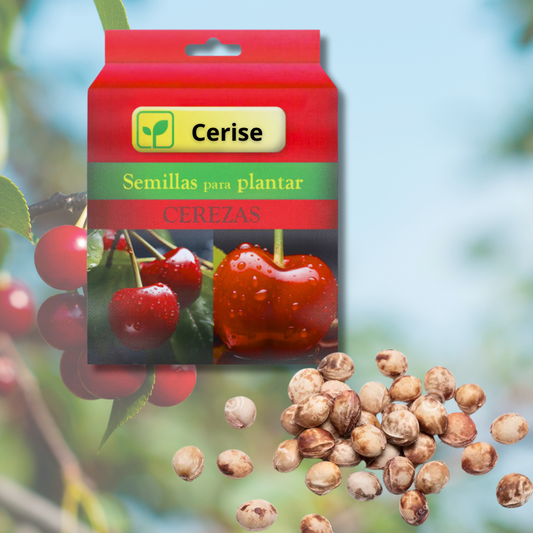 Cerise™ | Sementes de Cerejeira