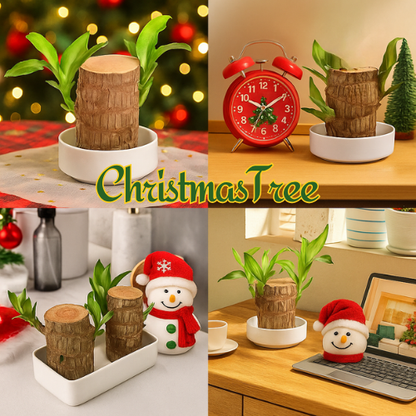ChristmasTree: Planta de madeira natal da sorte