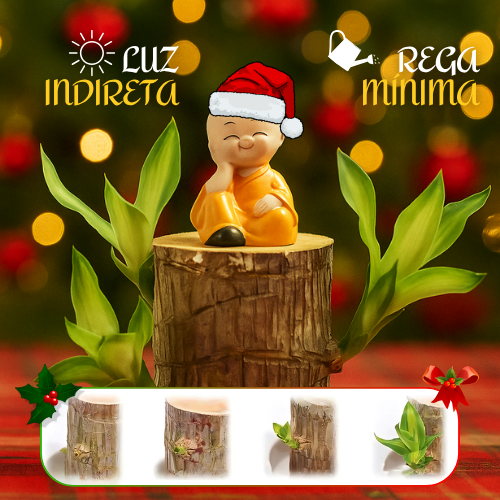 ChristmasTree: Planta de madeira natal da sorte