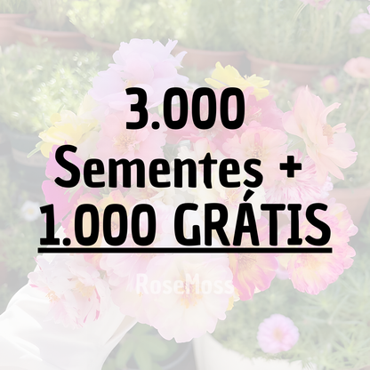 RoseMoss: Sementes de Rosa Imortal