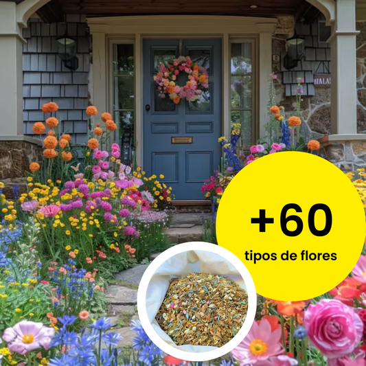 EdenGarden: Sementes de flores do Éden