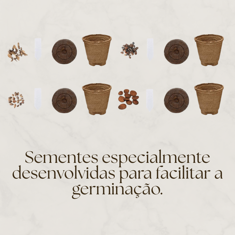 EasyBonsai: Kit de 4 Bonsais para cultivar