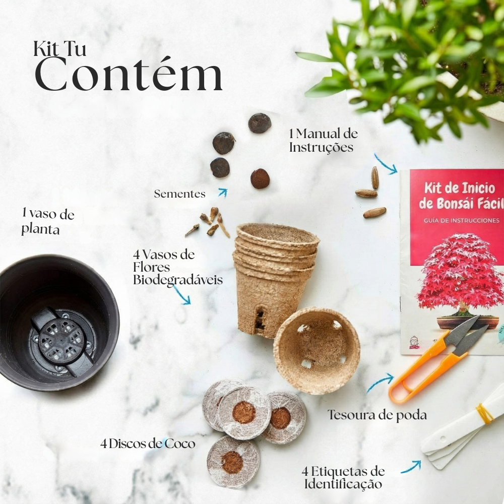 EasyBonsai: Kit de 4 Bonsais para cultivar