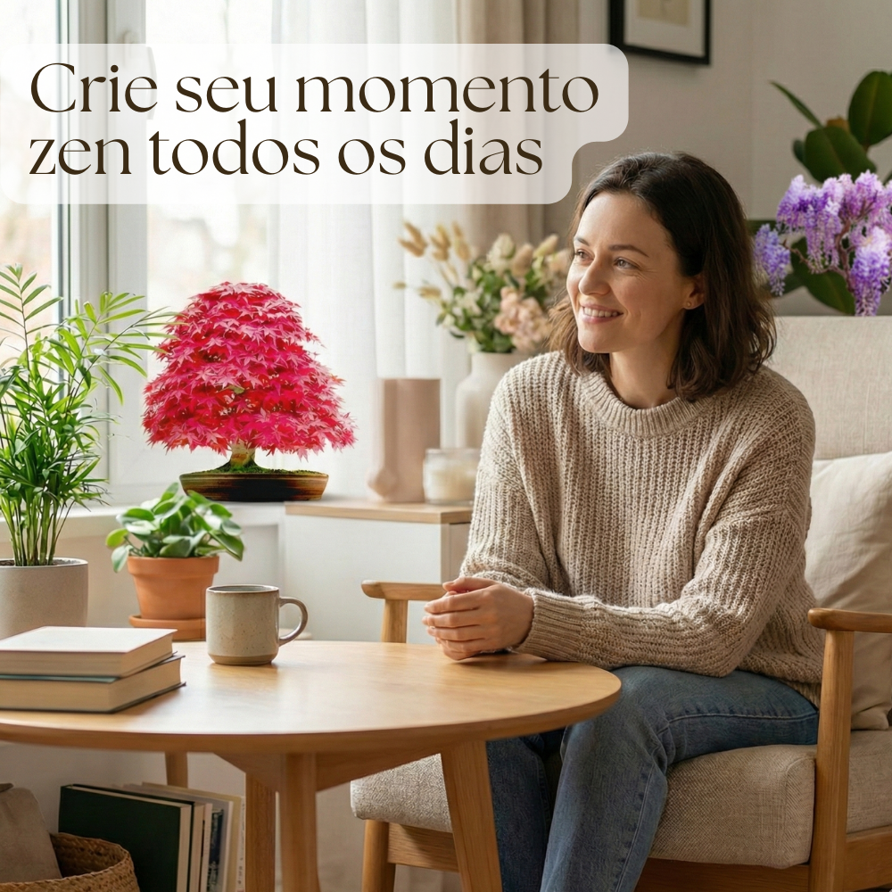 EasyBonsai: Kit de 4 Bonsais para cultivar