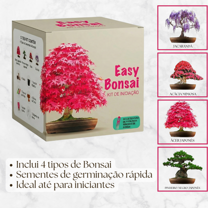 EasyBonsai: Kit de 4 Bonsais para cultivar